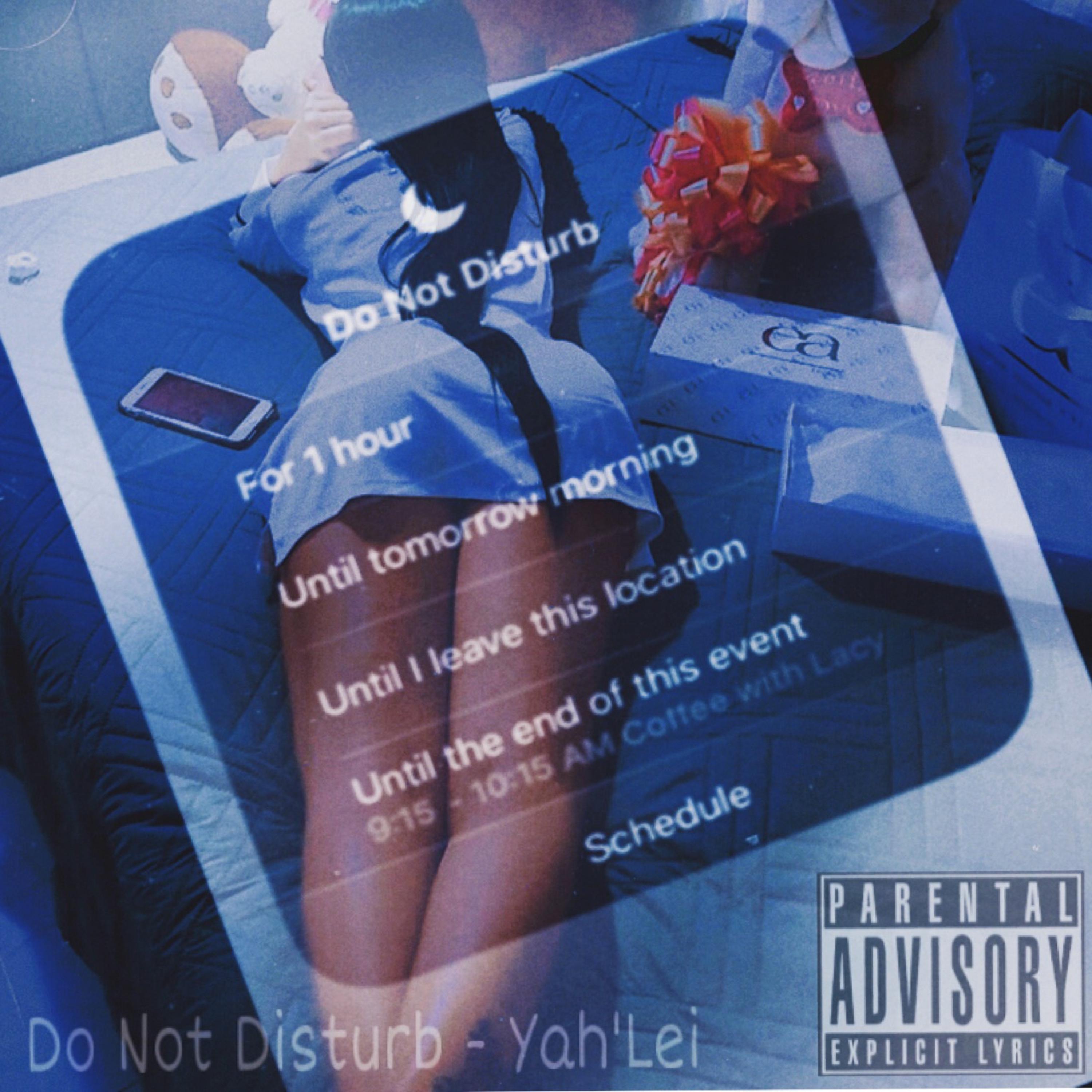 DND (Do Not Disturb) artwork
