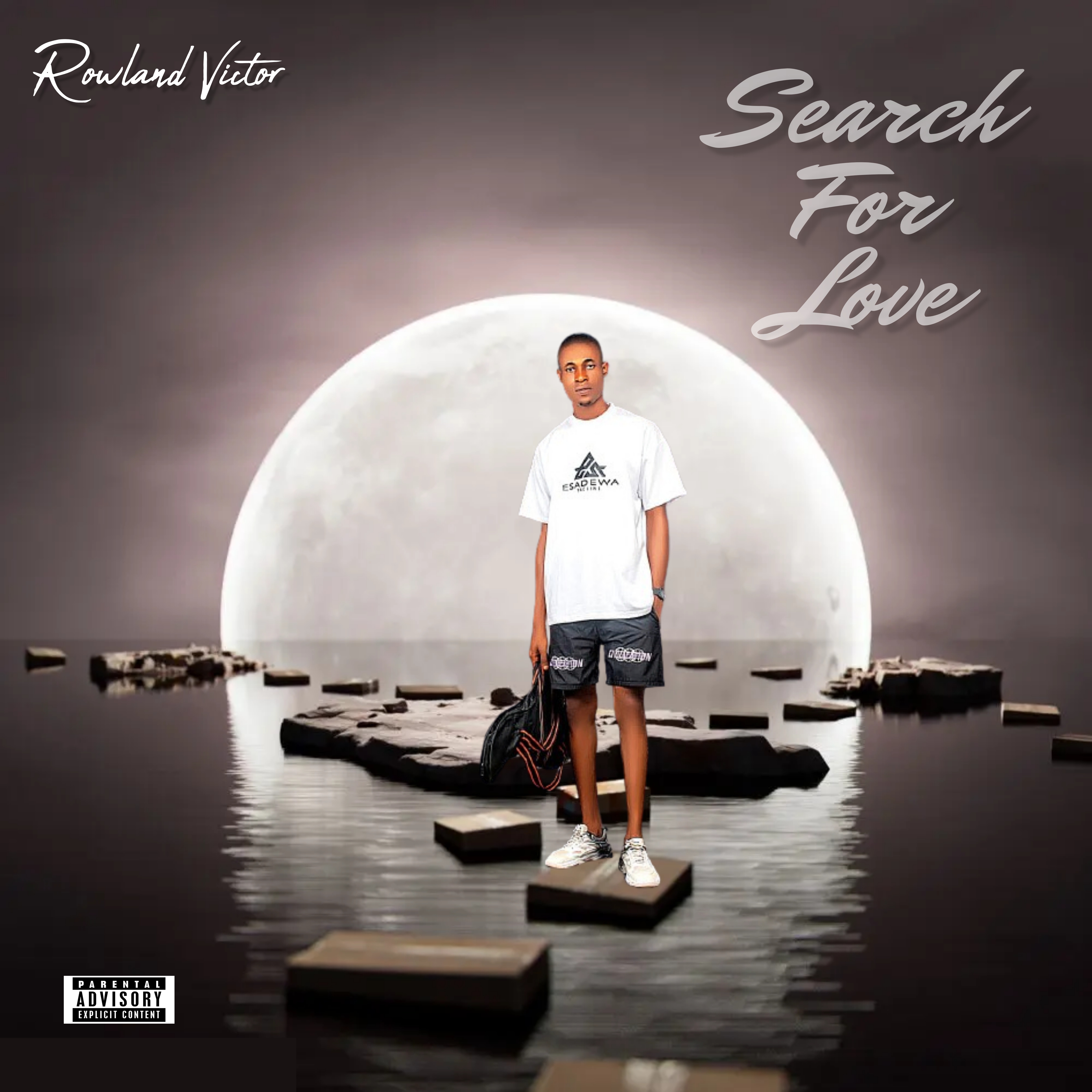 Search For Love artwork