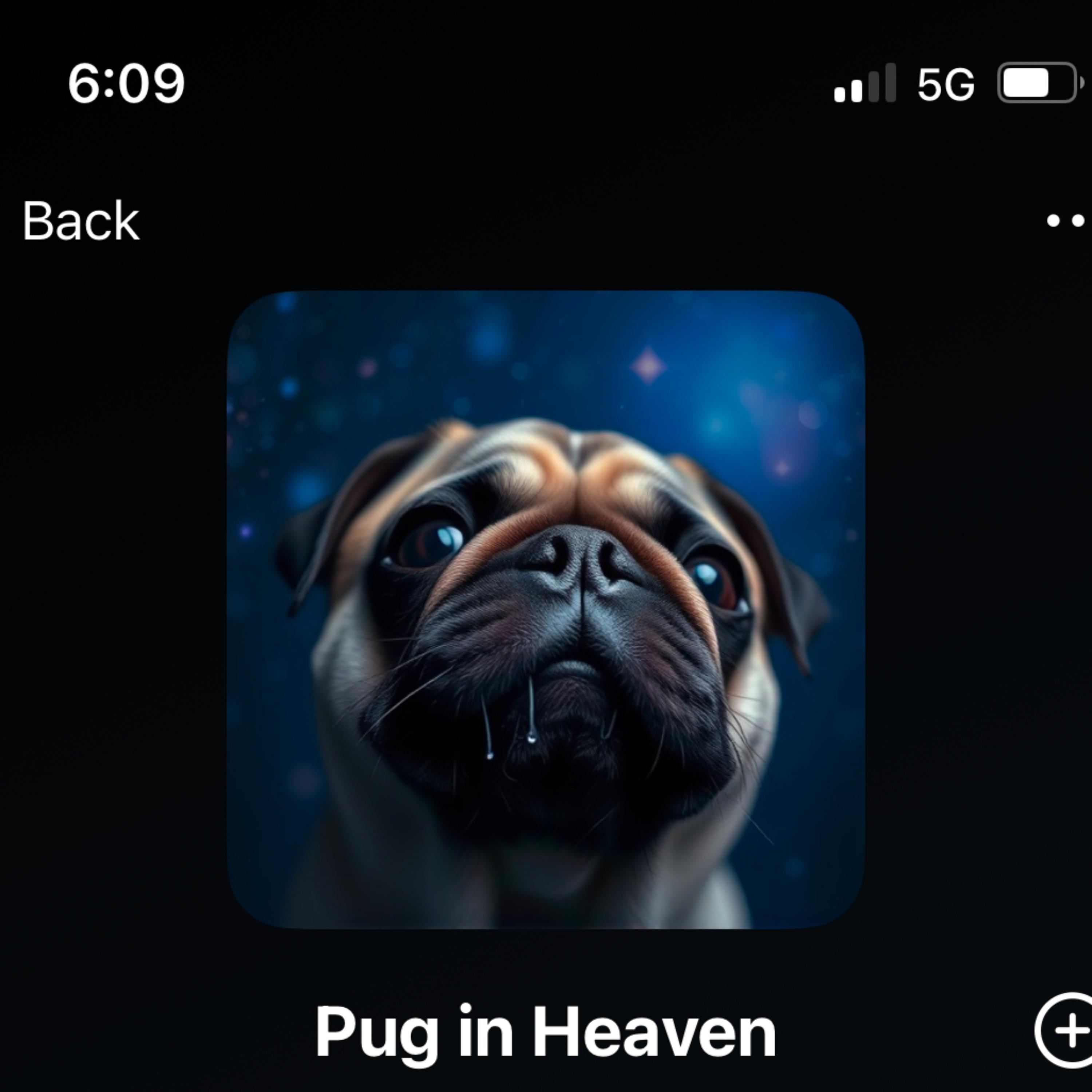 Pug in Heaven artwork