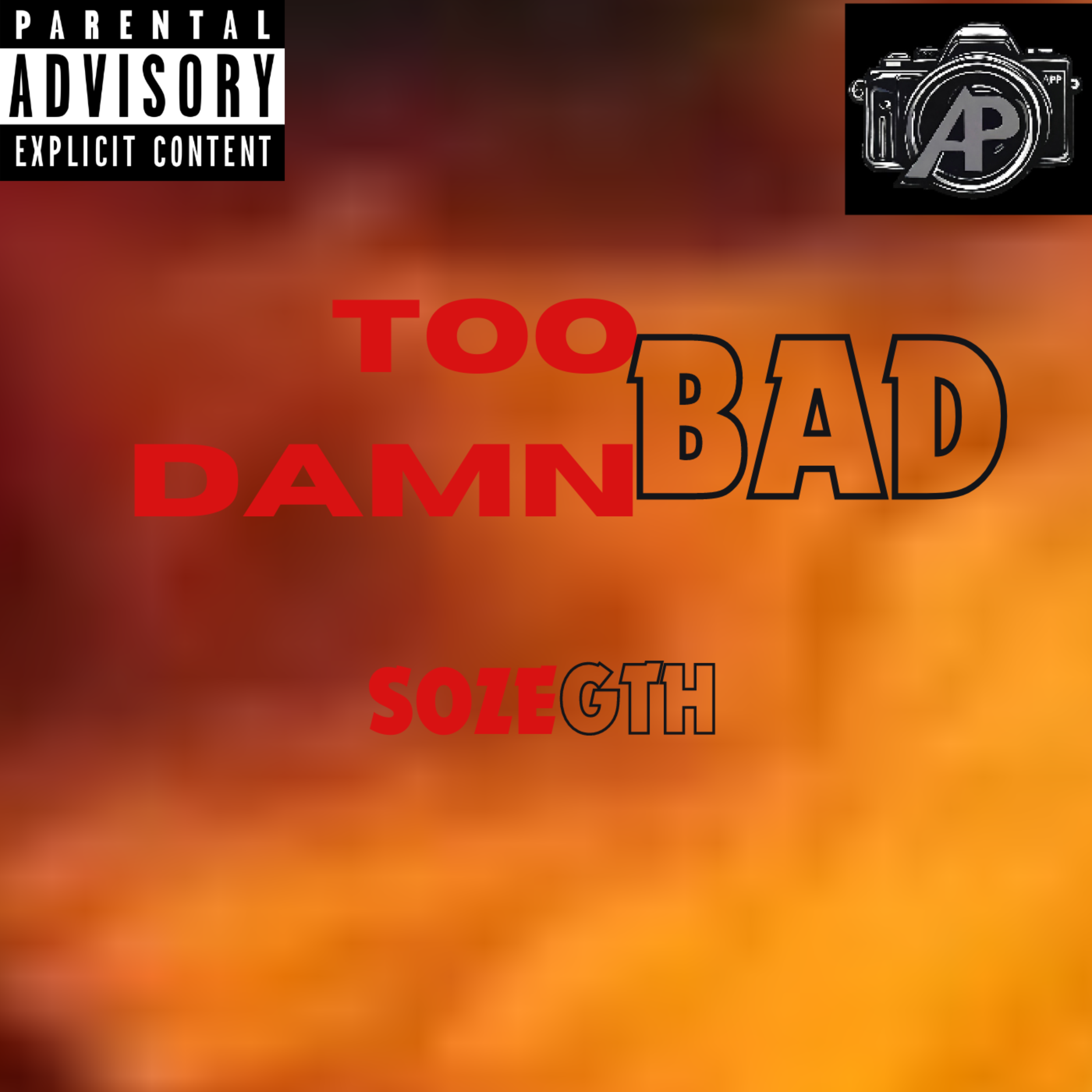 Too Damn Bad artwork