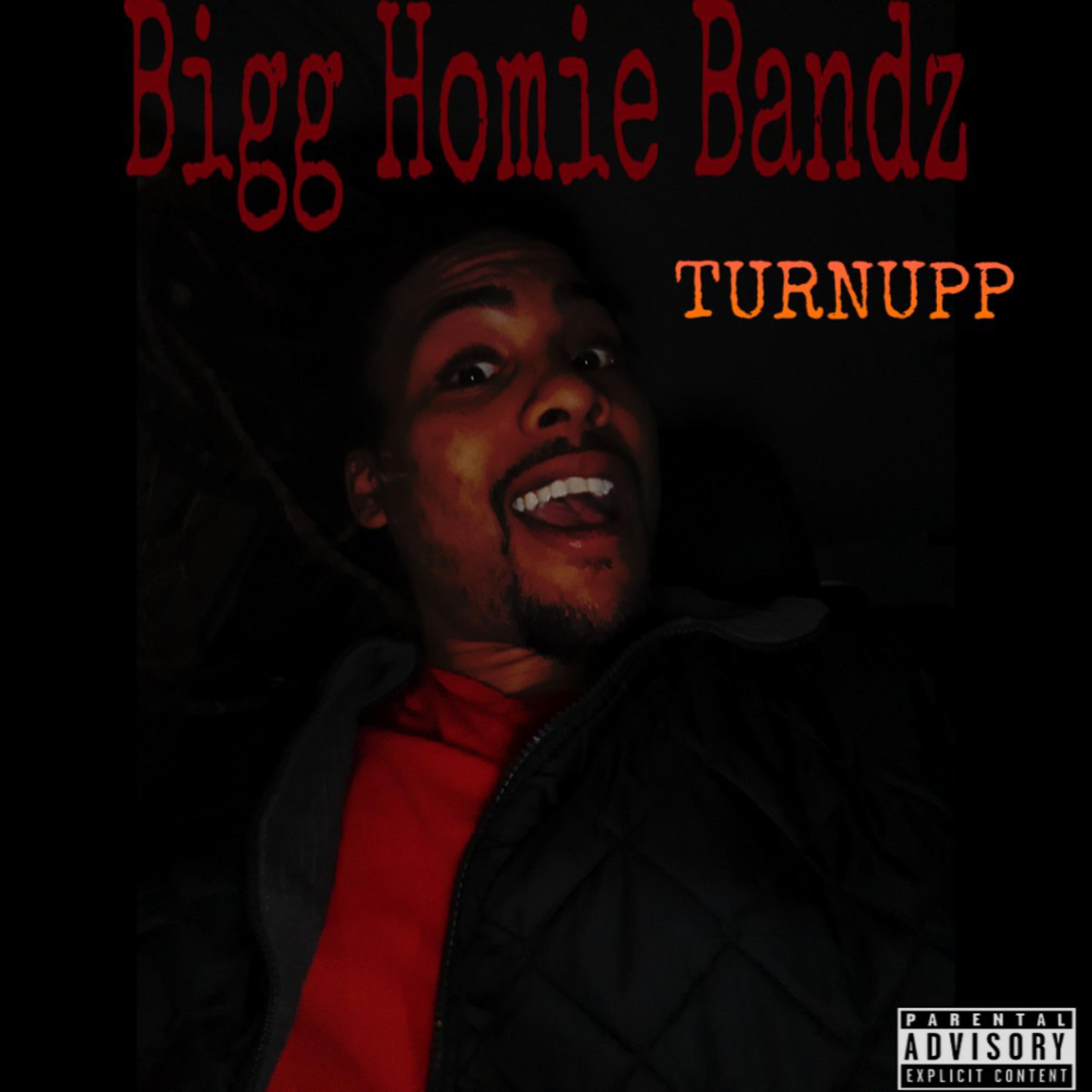 TURNUPP artwork