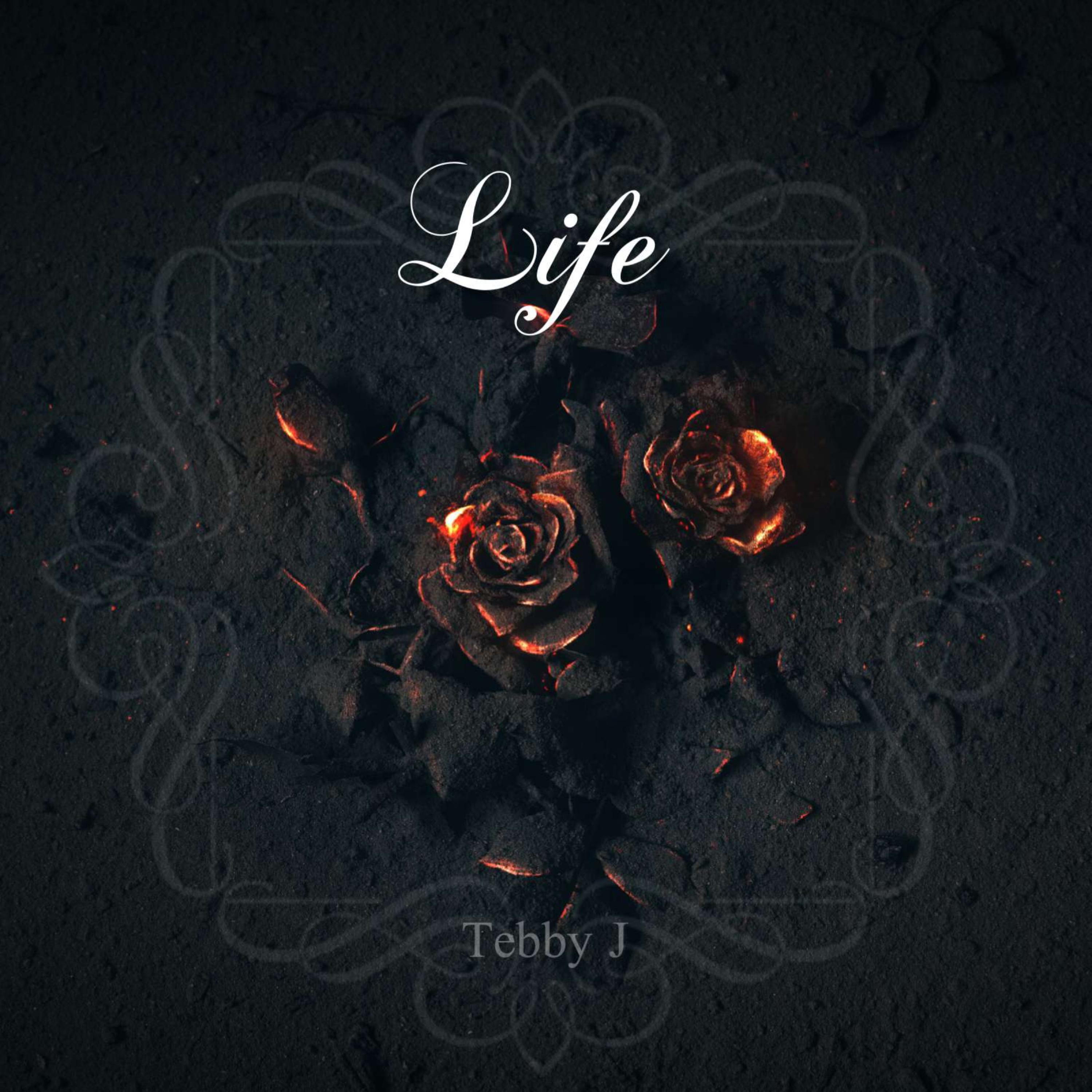 Life by Tebby j cover art