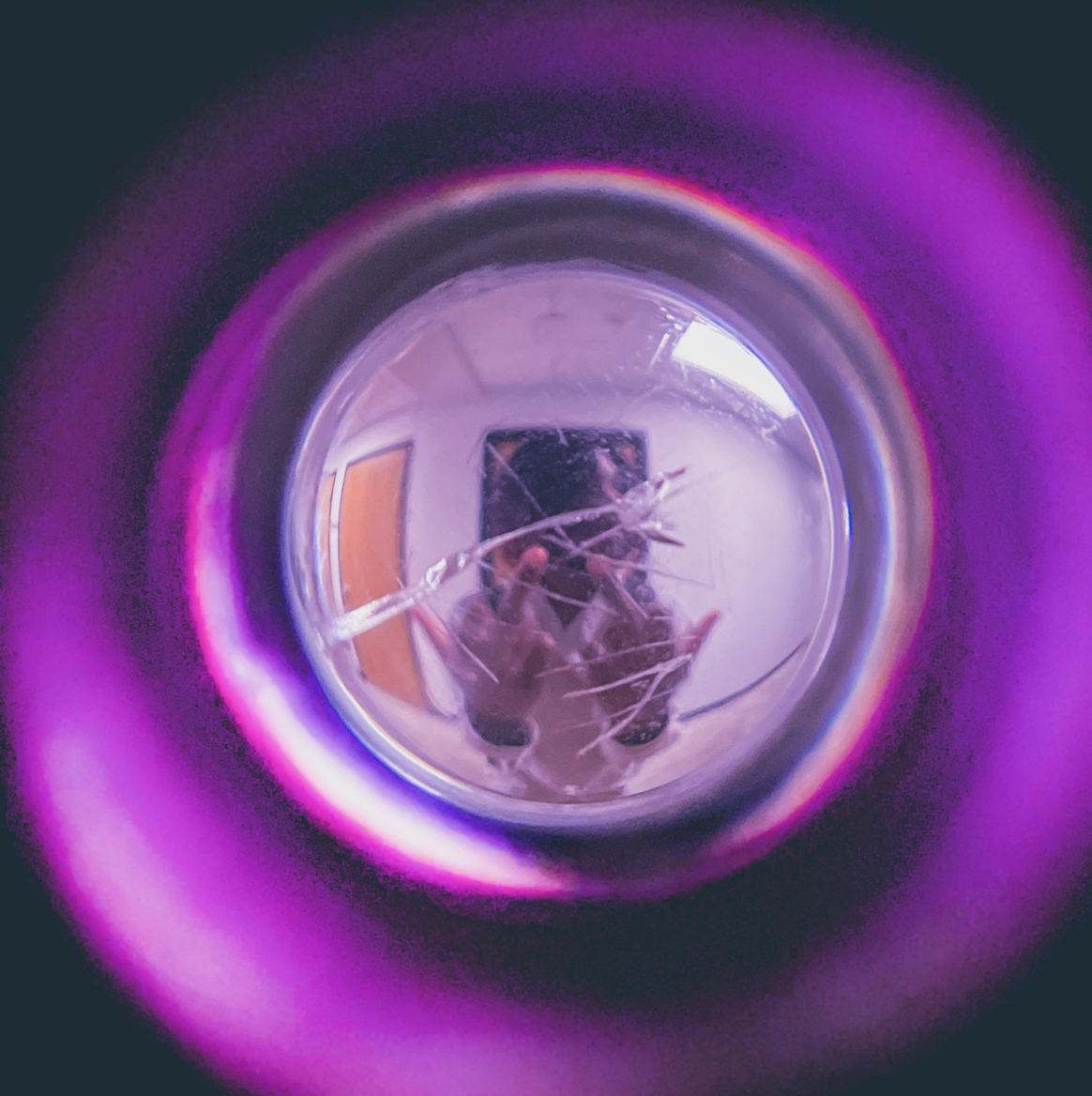 art•ist