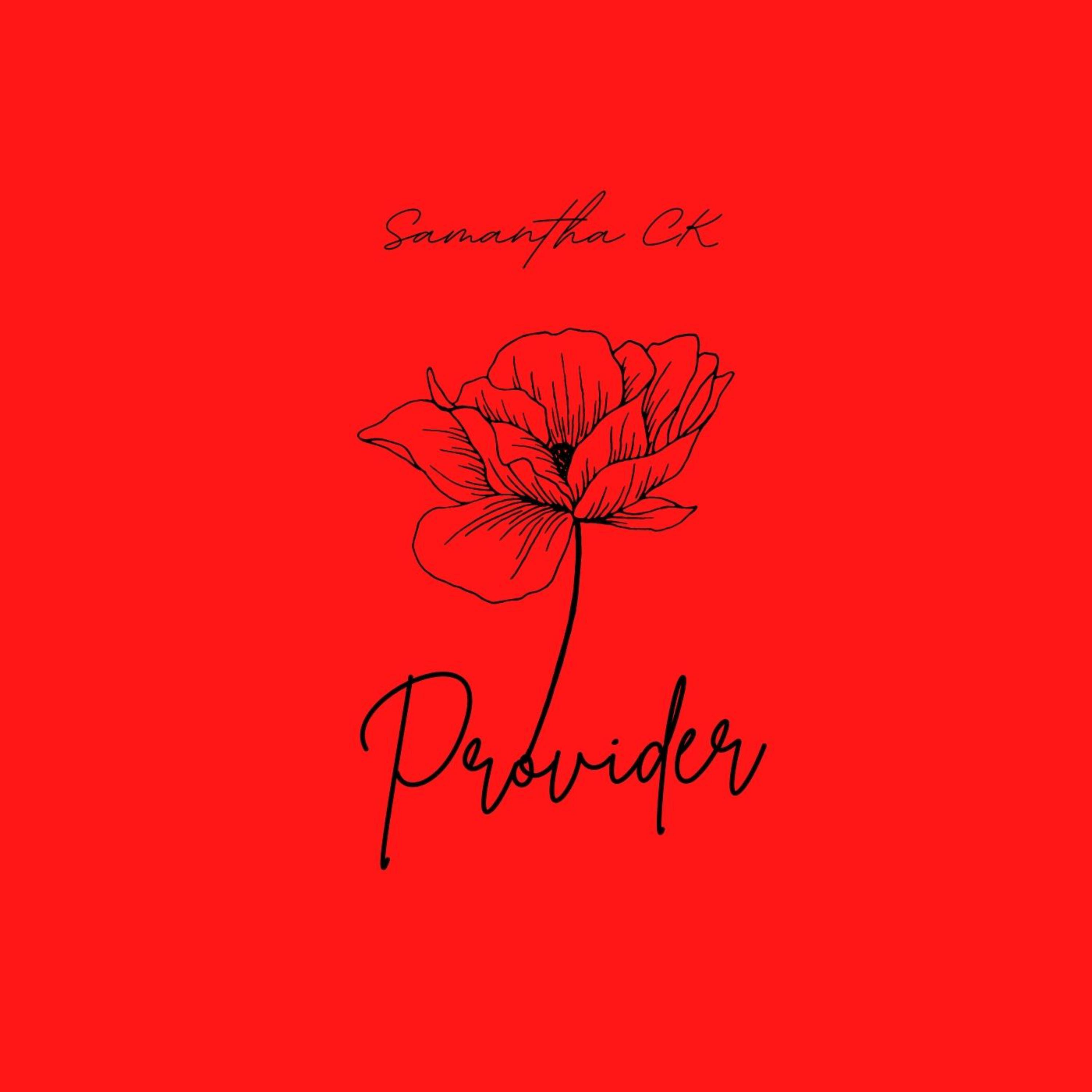 PROVIDER by Samantha CK cover art