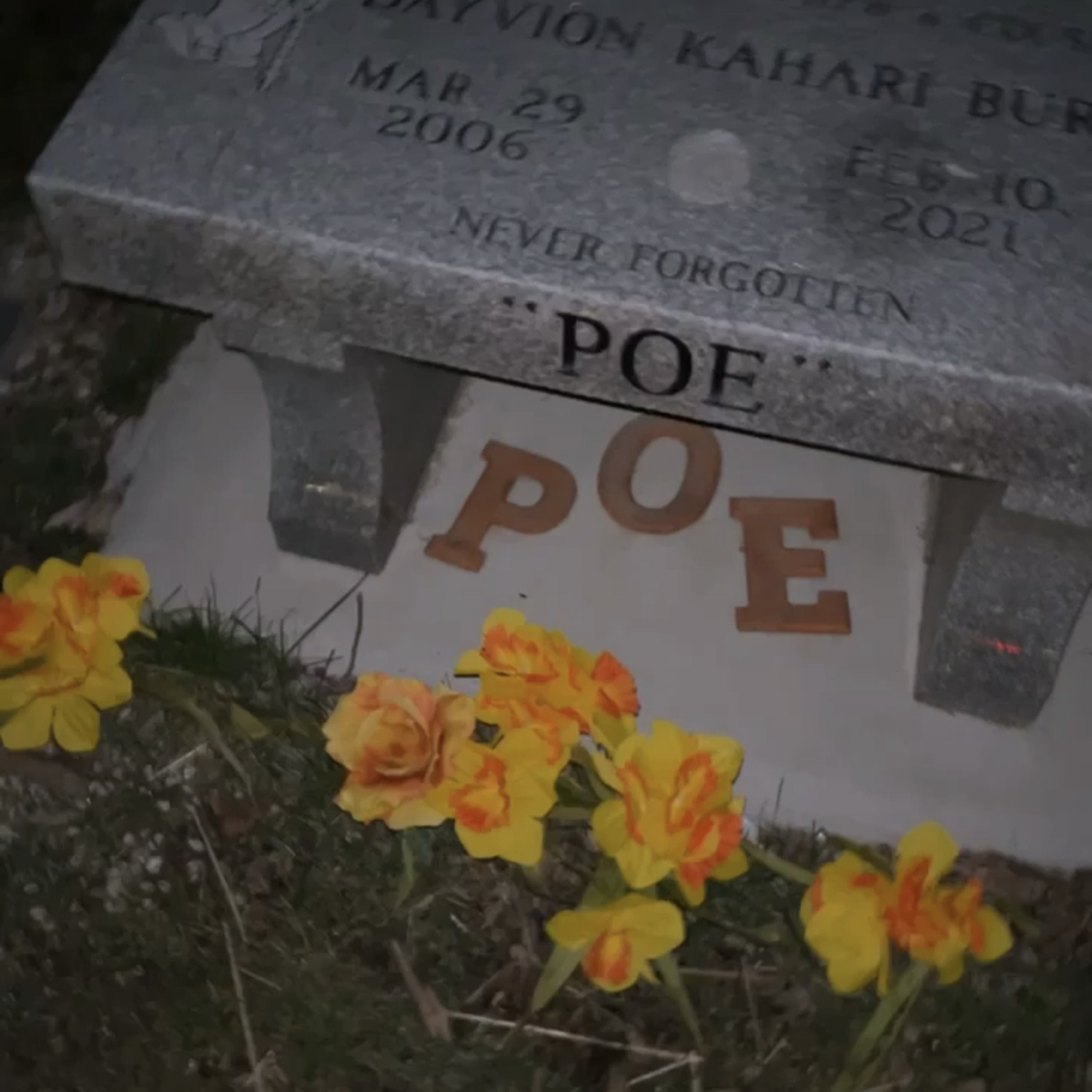 Letter To Poe artwork