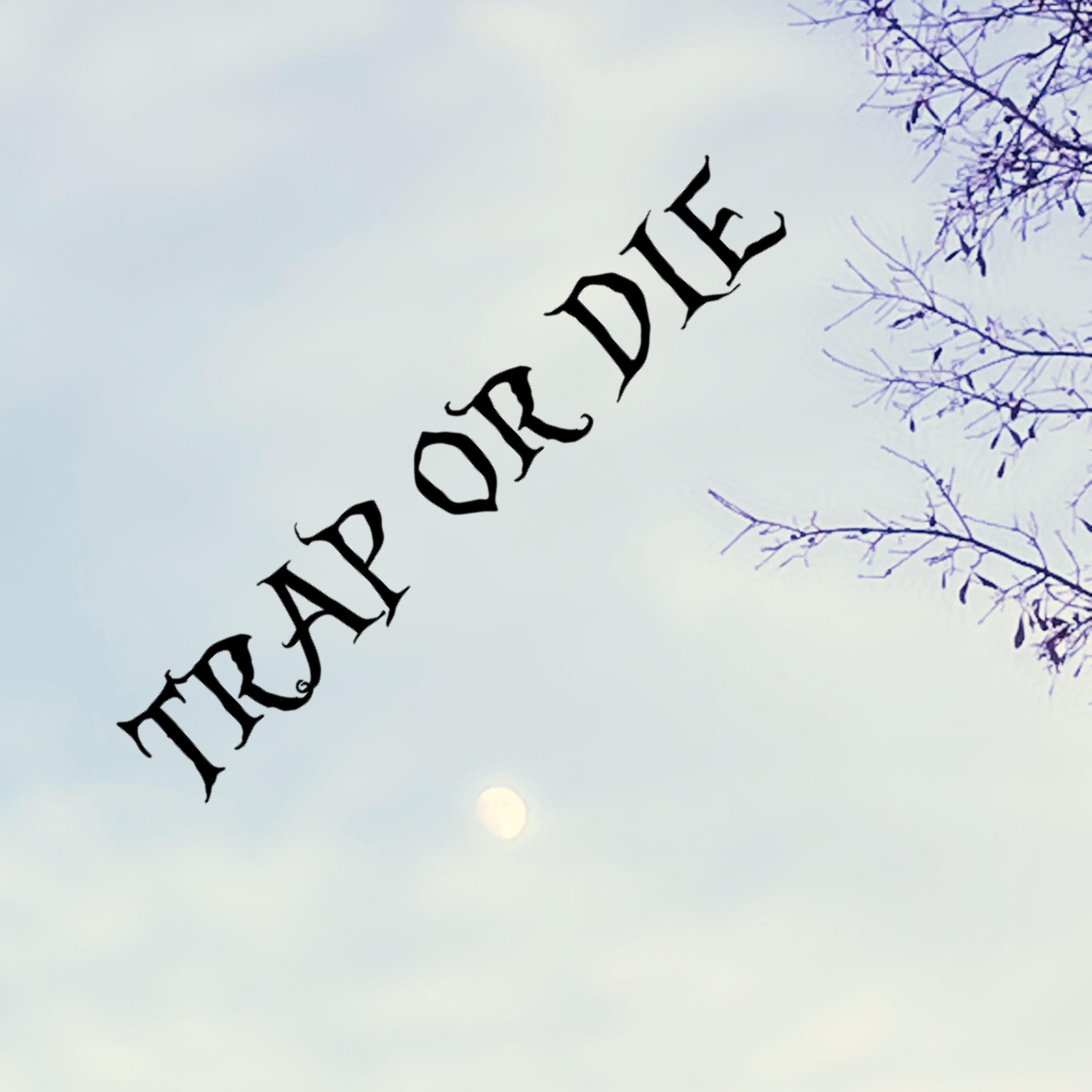 Trap Or Die artwork