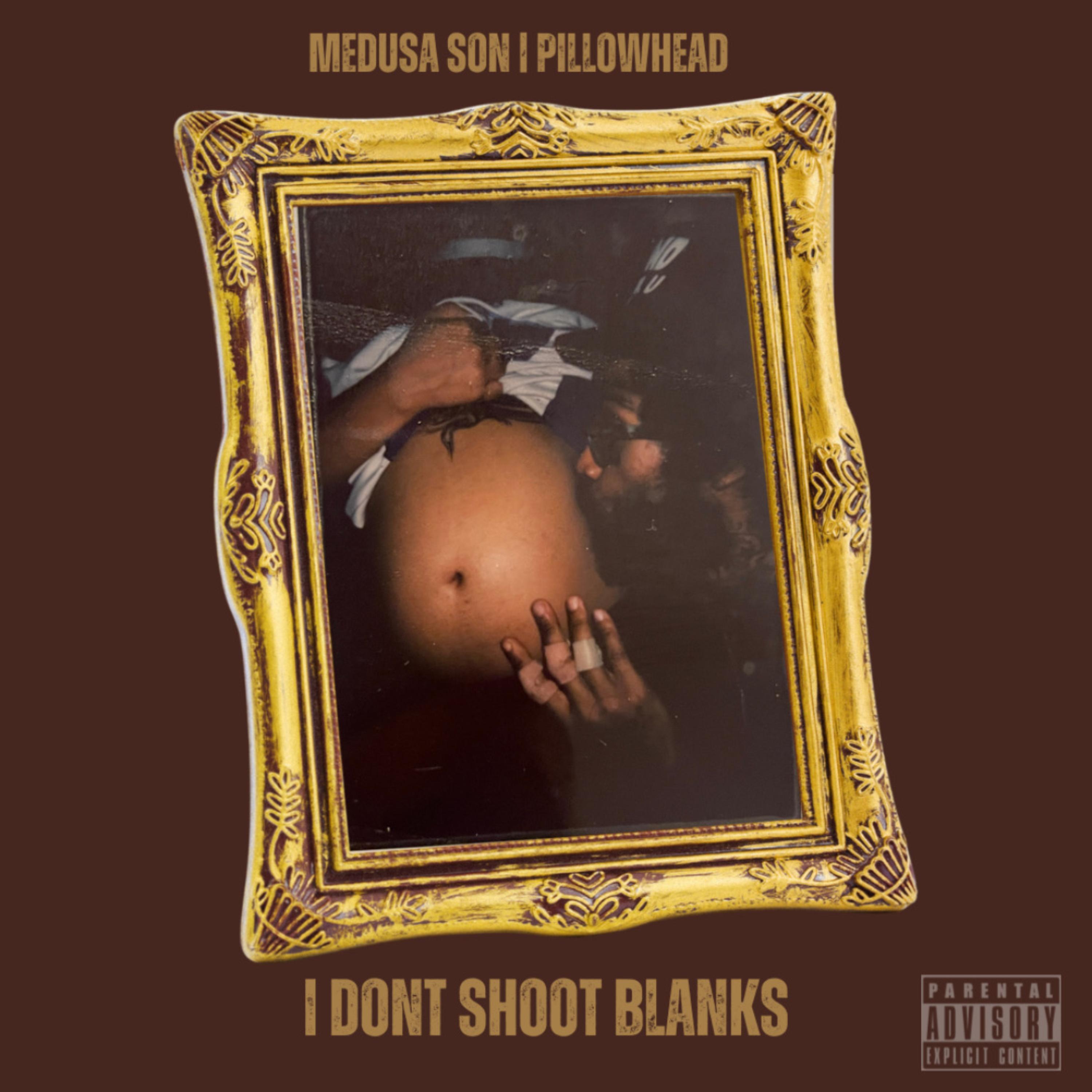 I Don’t Shoot Blanks artwork