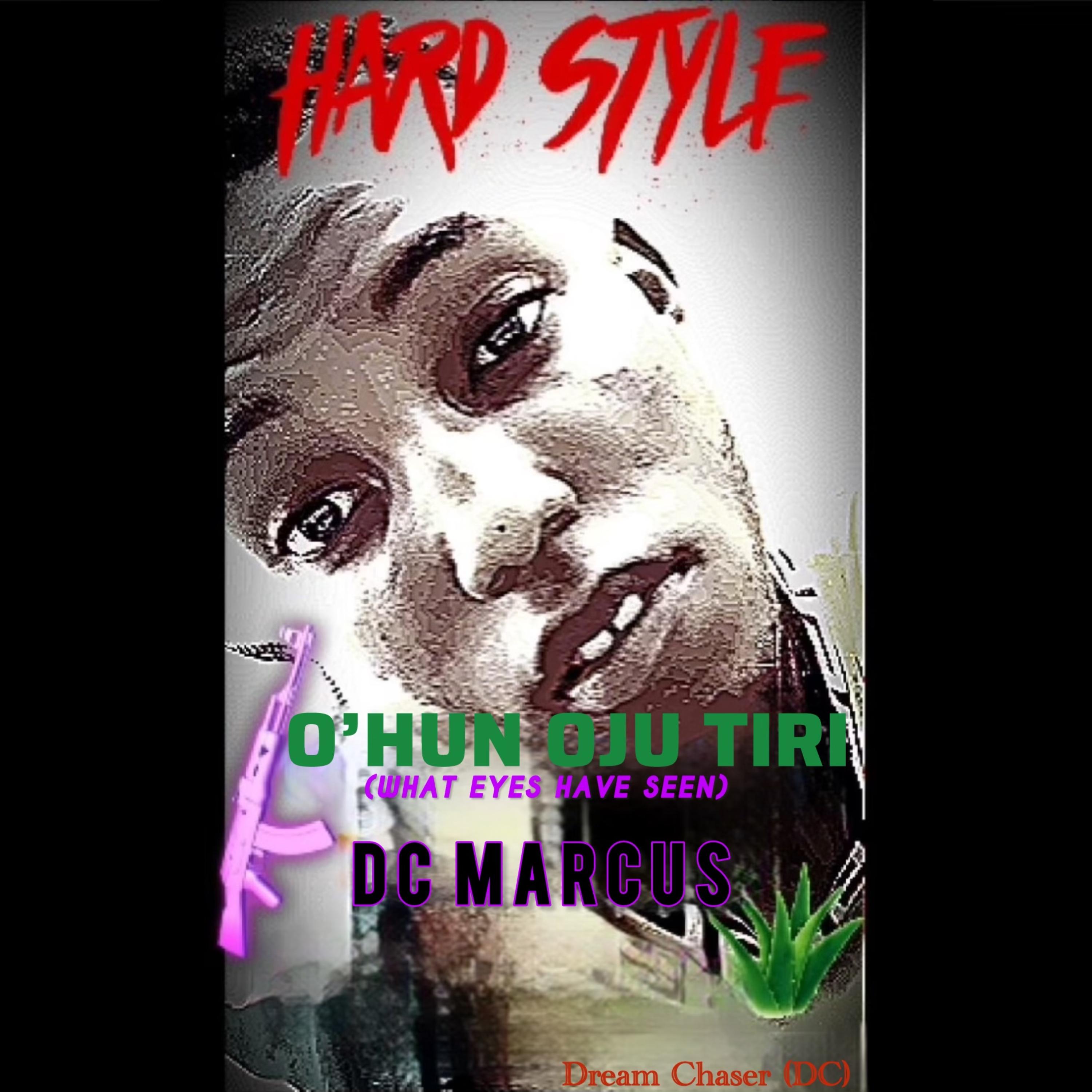 Ohun Oju Tiri (What Eyes Have Seen) artwork