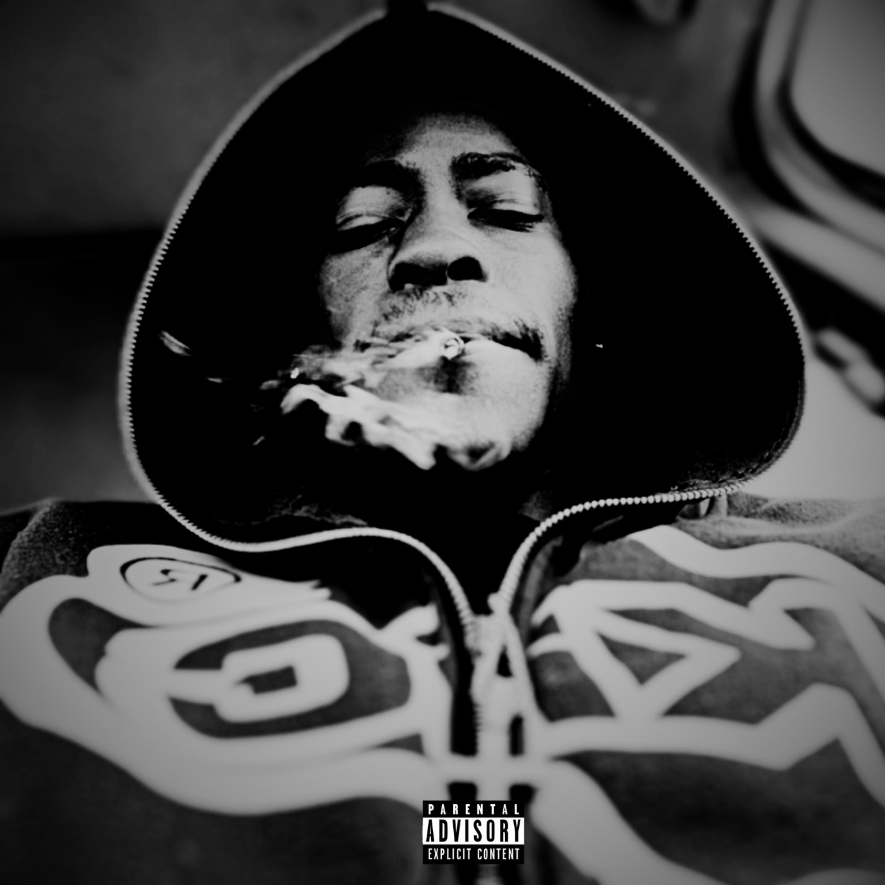 Da Beginning artwork