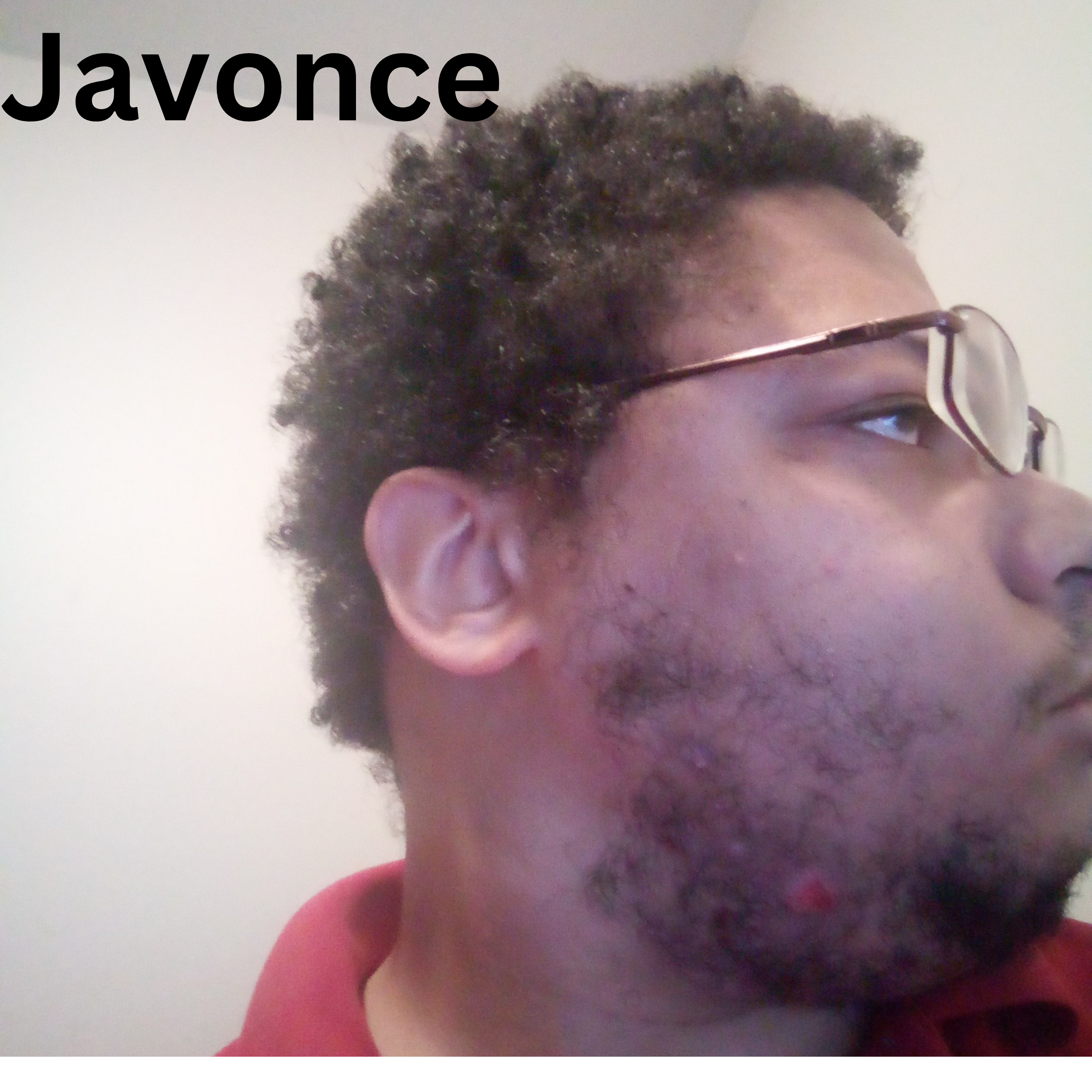 Javonce artwork