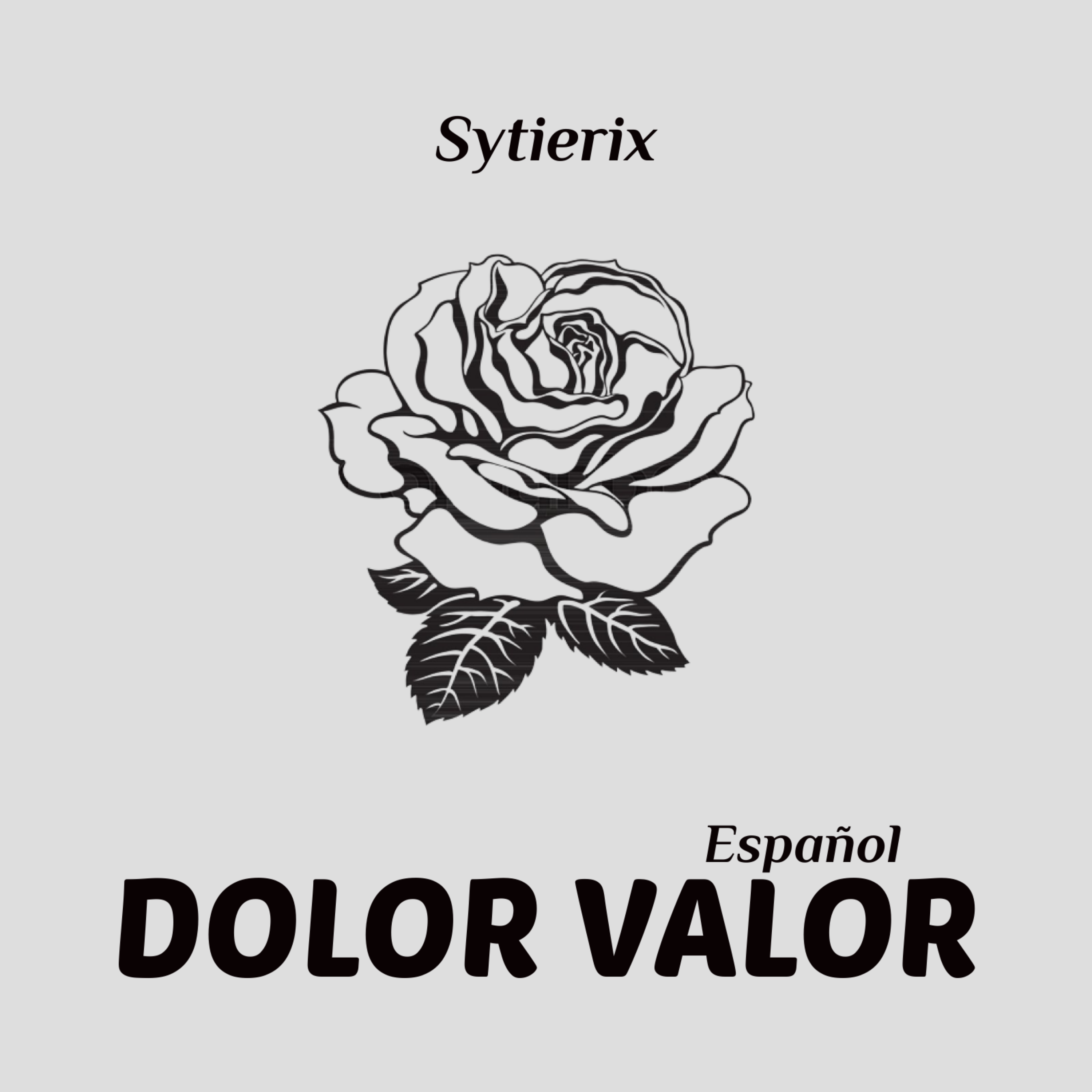 Dolor Valor artwork