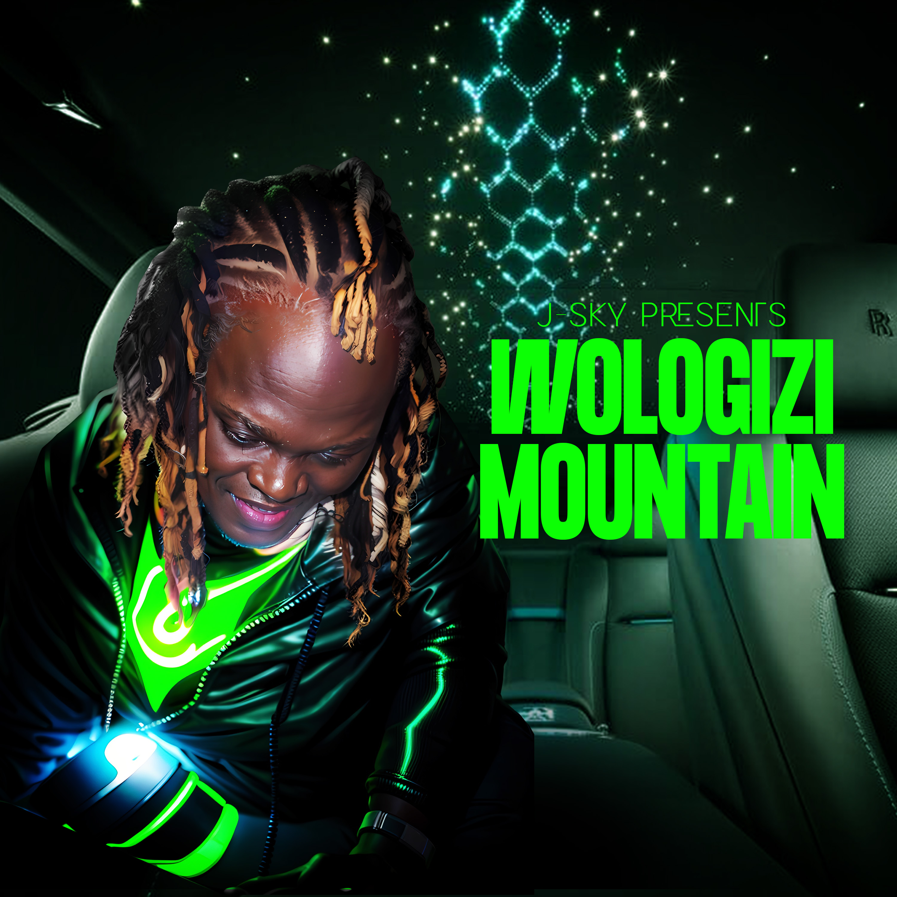 WOLOGIZI MOUNTAIN artwork