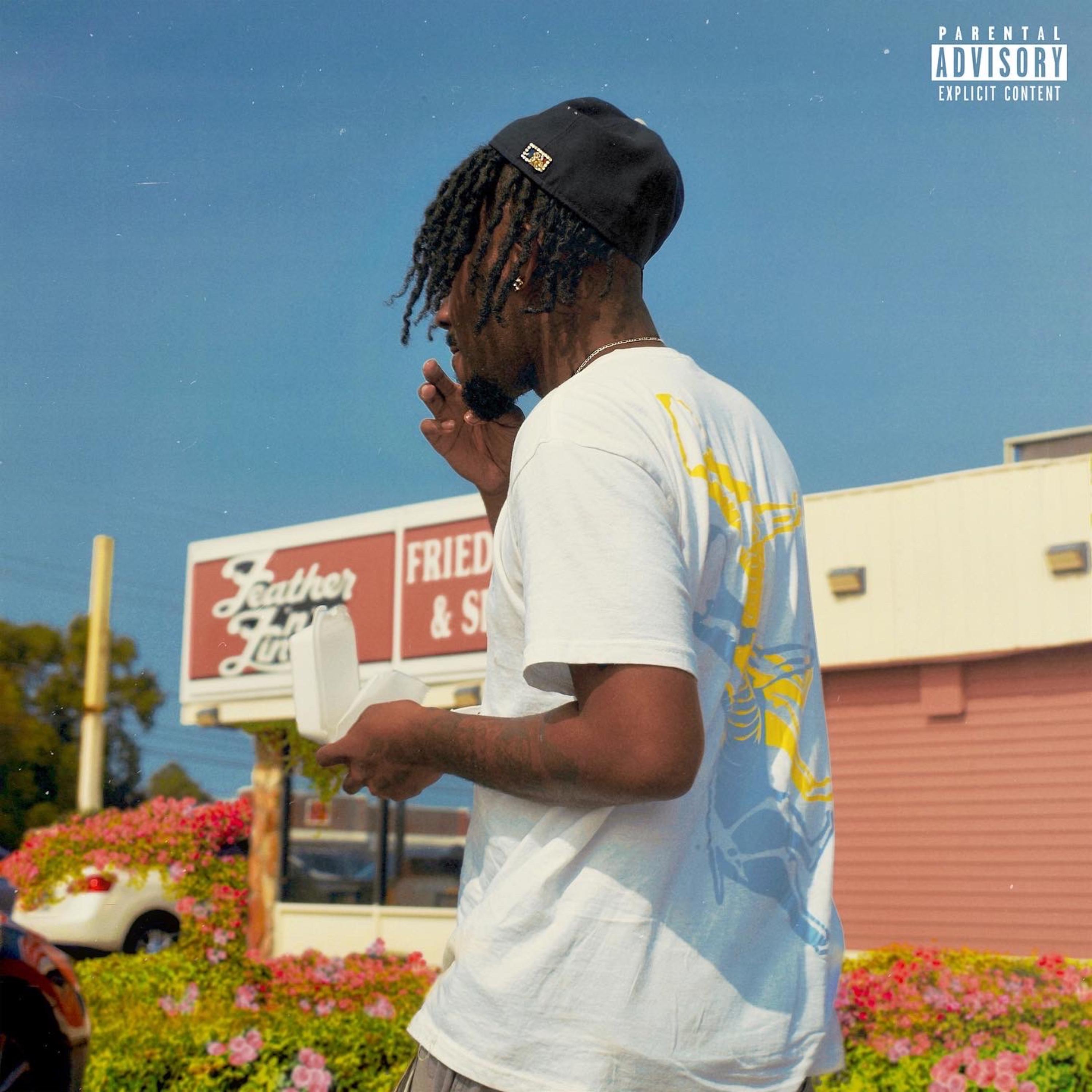 THE VIRGINIA BOUNCE artwork