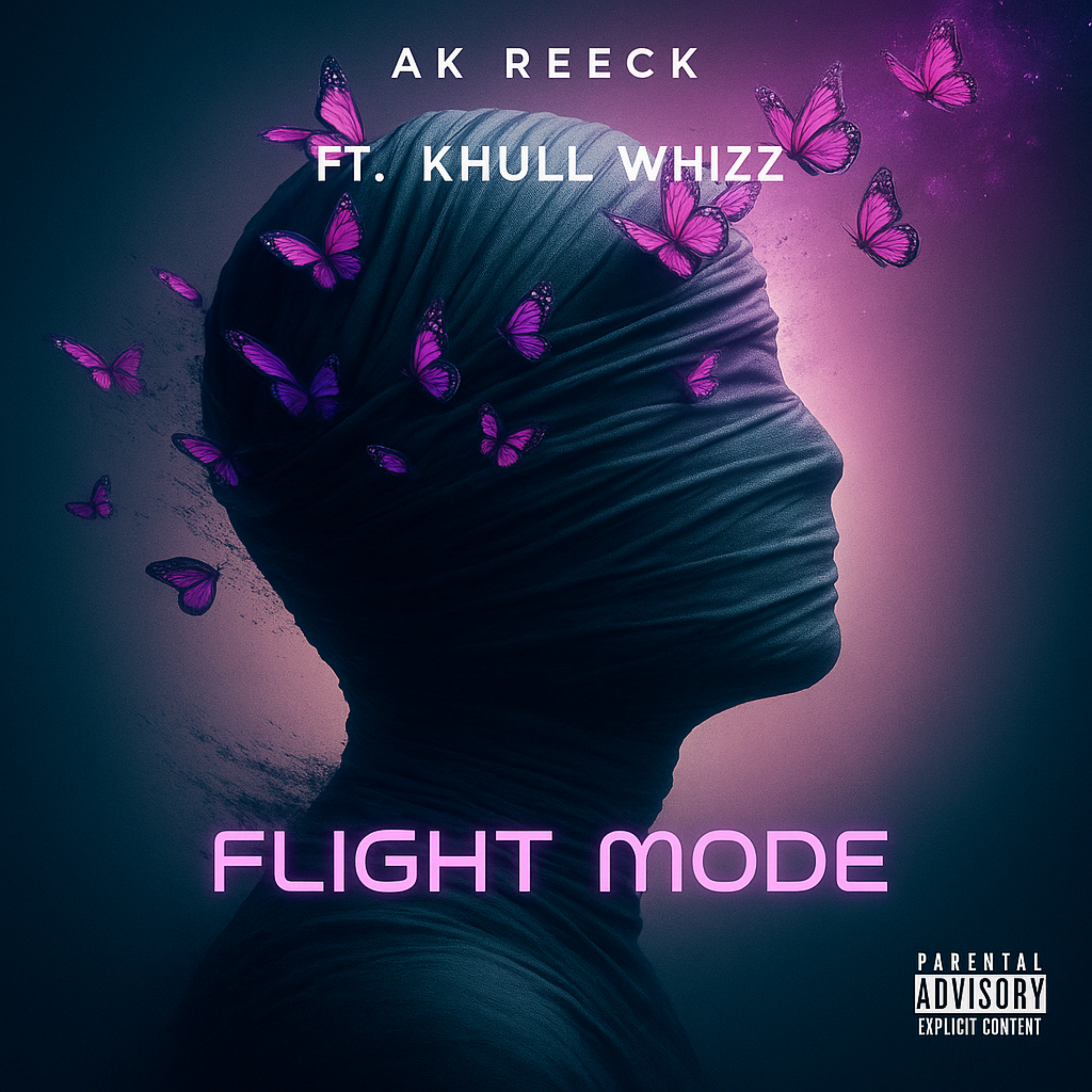 Flight Mode artwork